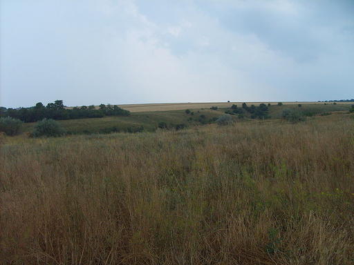 Последний день лета.(делимся своими впечатлениями)